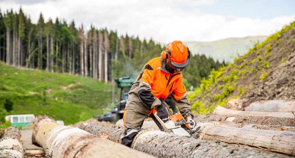 Link Resources chainsaw level 2 training worker cutting logs in forestry environment